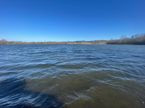 Ori @u230582535 cover picture