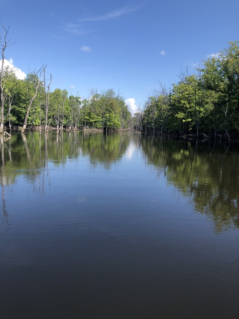 Mr.Friend @u23149621 cover picture