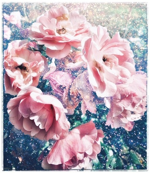 Amelia Orvokki @u242393042 cover picture