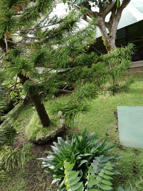 Alanna @u244820162 cover picture