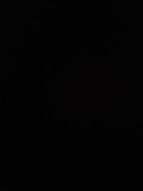 Anonymouse @u266882195 cover picture