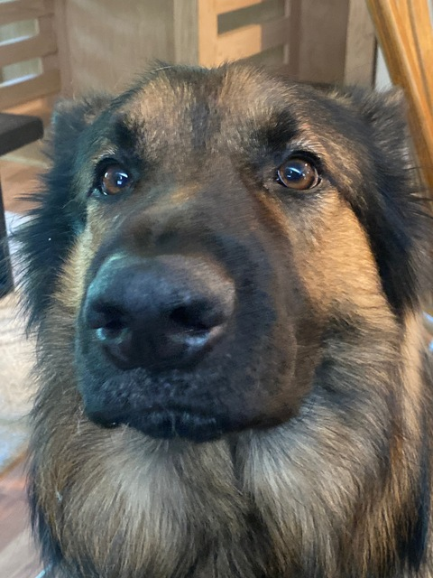 HLA195 @u270752766 cover picture