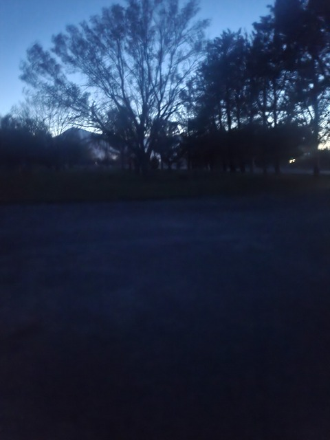 Summor Diener @u271685849 cover picture