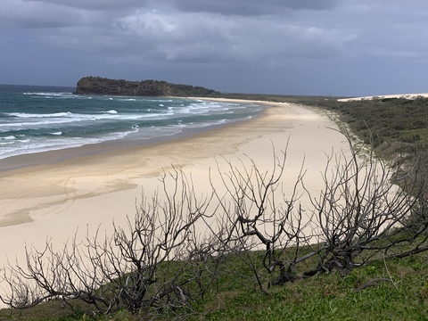 Adam Niesler @u27579606 cover picture