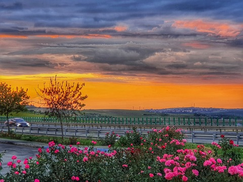 Miki @u279736393 cover picture