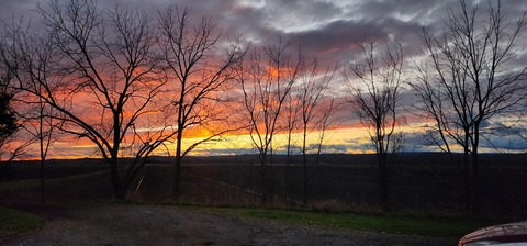 Darlene @u283918141 cover picture