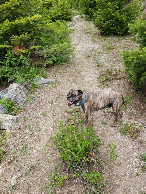 u2895804 @u2895804 cover picture