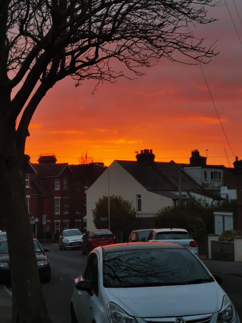 Name @u29041061 cover picture