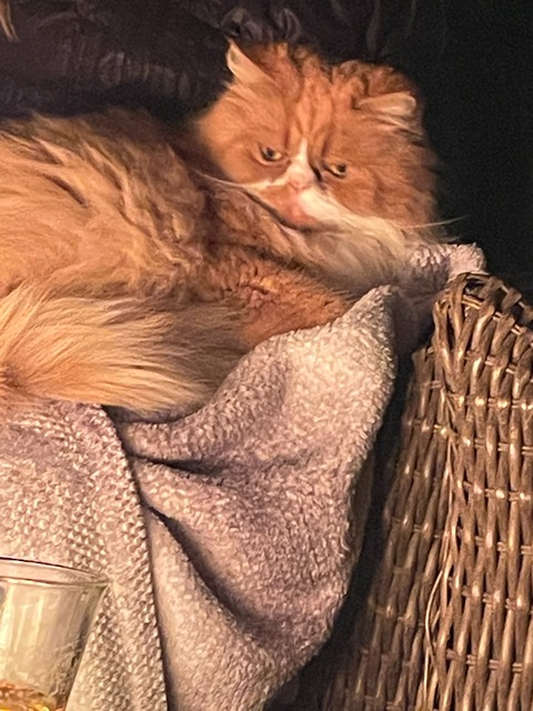 😈💨AK💨😈 @u31500277 cover picture