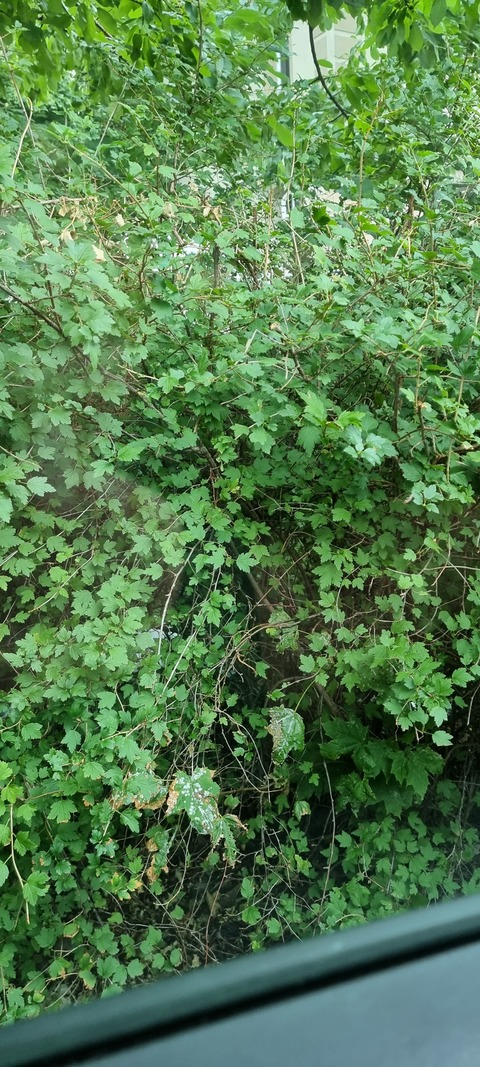 Starkad @u31872347 cover picture