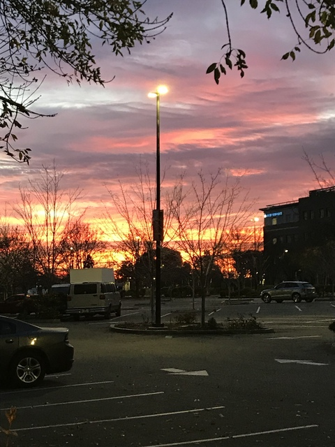 Jason Sensation @u34516606 cover picture