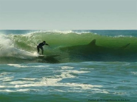 u352757 @u352757 cover picture