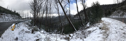 Dakota mech @u37053946 cover picture