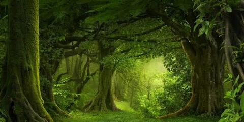 Gerry @u37274361 cover picture