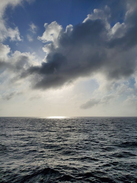 David @u39091467 cover picture