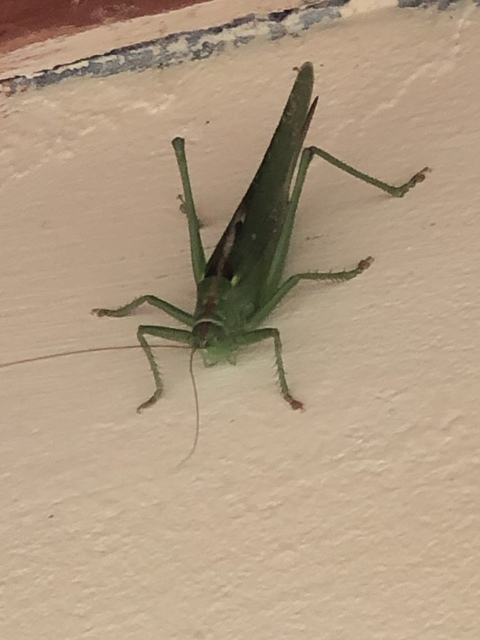 Dan @u39553730 cover picture