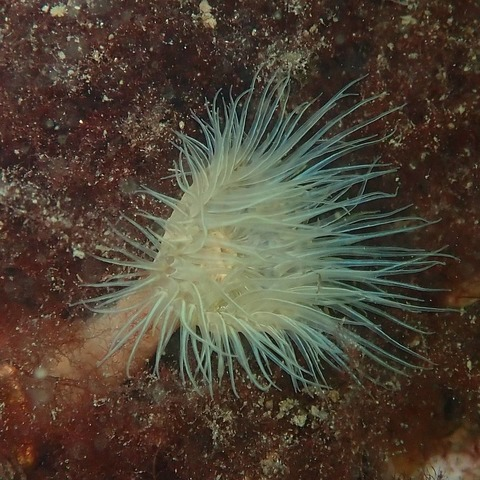 Rik Van Opstal @u39786315 cover picture