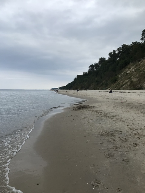 Fred @u48657118 cover picture