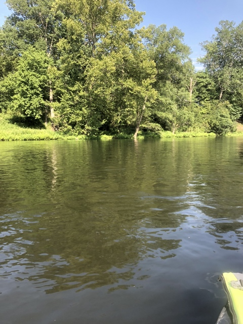 Johnny Ringo @u50599898 cover picture