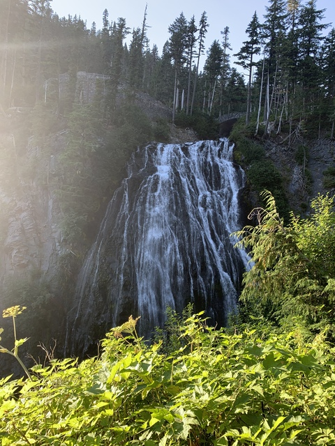 Tara Snow @u54692212 cover picture