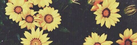 Jacinda💦👅🌻 @u55628381 cover picture