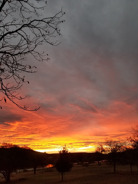 RusselLuvMuscle @u556950 cover picture