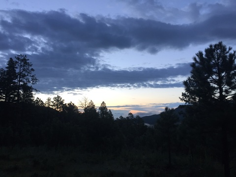 Howard @u57301919 cover picture