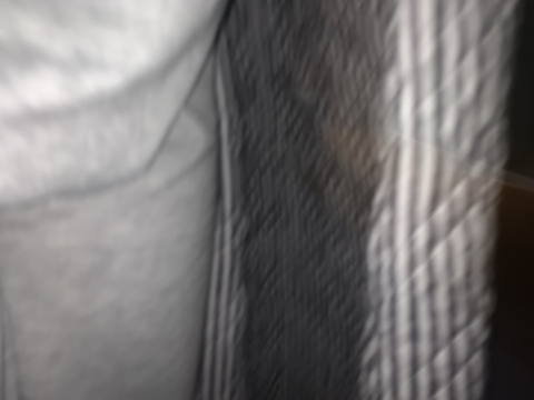 Lexi @u57643686 cover picture