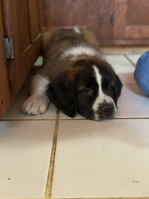 Justin @u59868352 cover picture