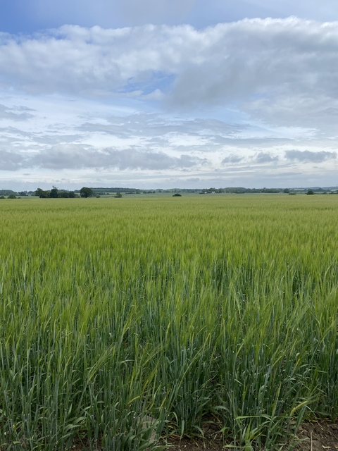 Daz @u60000552 cover picture