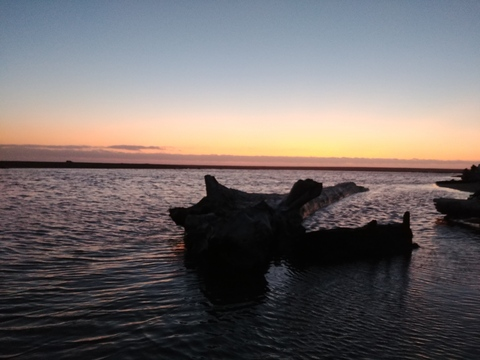 David broke @u61301831 cover picture