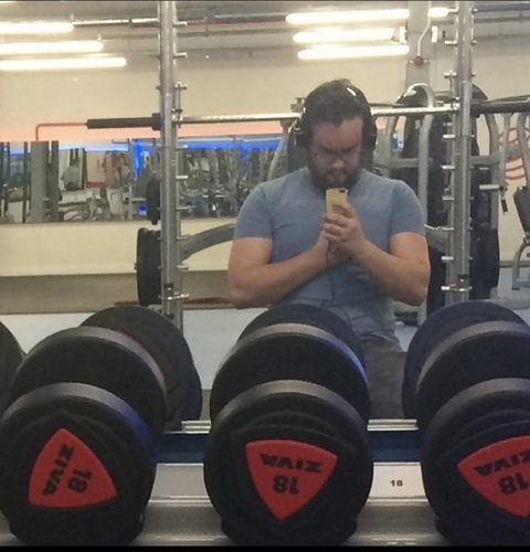 Bigdino @u62128 cover picture