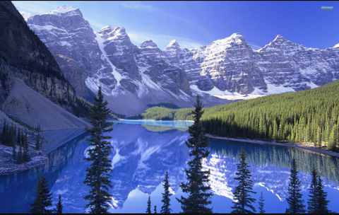 C @u62148701 cover picture