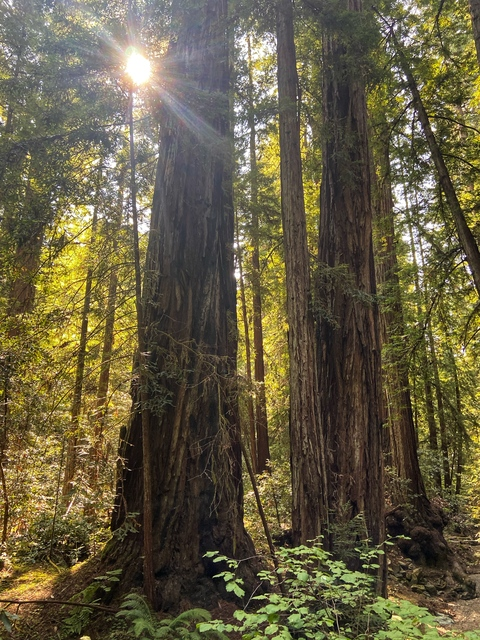 Dana @u64015259 cover picture