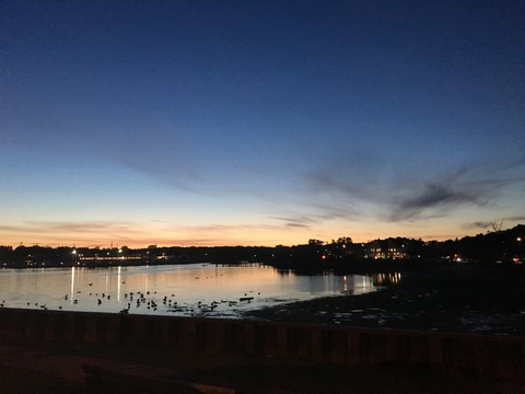 Sebastian @u66496181 cover picture