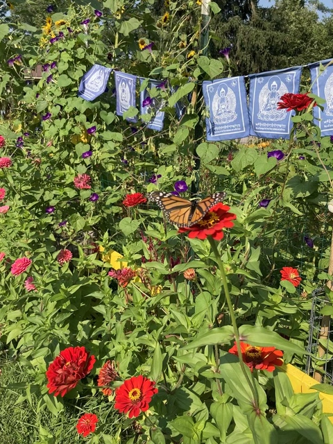 E @u68005966 cover picture