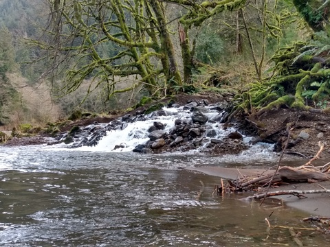 Onelove503 @u70569672 cover picture