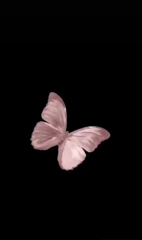 Destiny Cheyenne @u71006843 cover picture