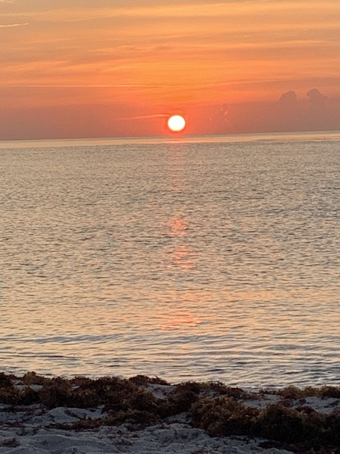 LittleRon @u77109480 cover picture