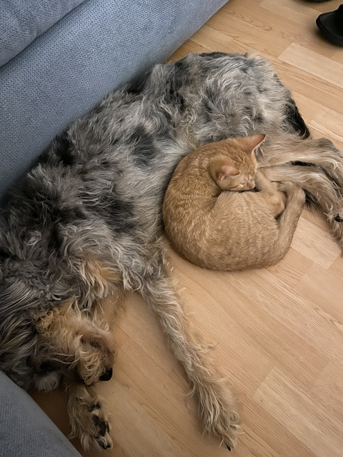 Lisa s @u80684897 cover picture