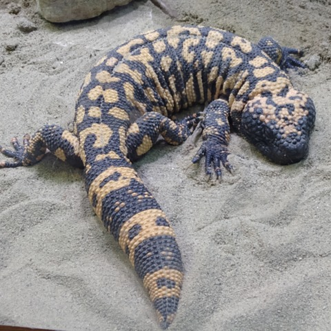 Luis Sanchez @u80759586 cover picture