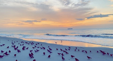 CorBen @u8102160 cover picture