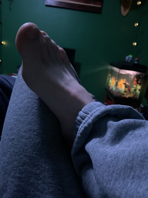 Carelesscarol @u95461675 cover picture