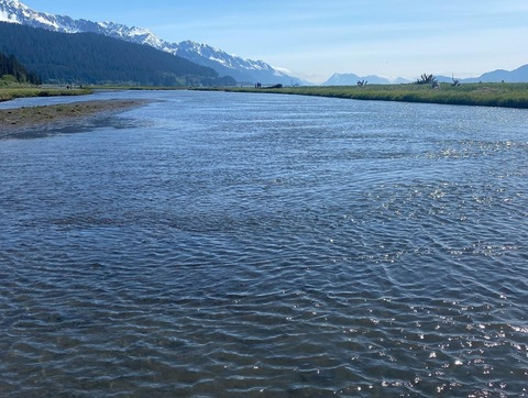 u958881 @u958881 cover picture