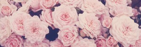 keri @u97029875 cover picture