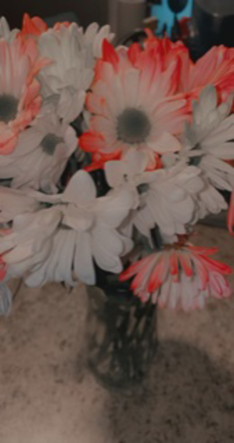 Rubi @u97894295 cover picture