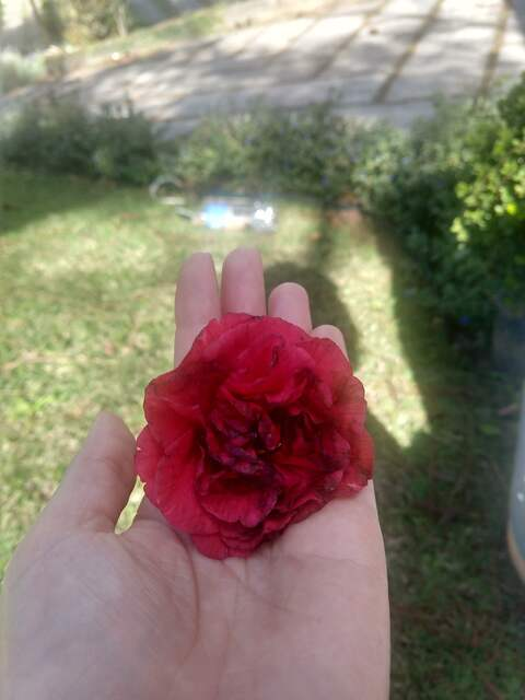 Baby Foxxx @ubabyfoxxx cover picture