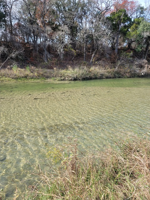 Mickey @ughok4 cover picture