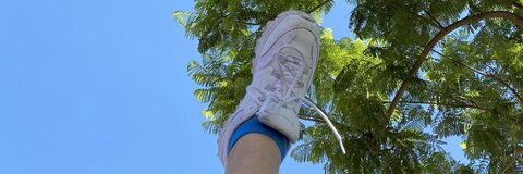 lex @uhhlexuh cover picture