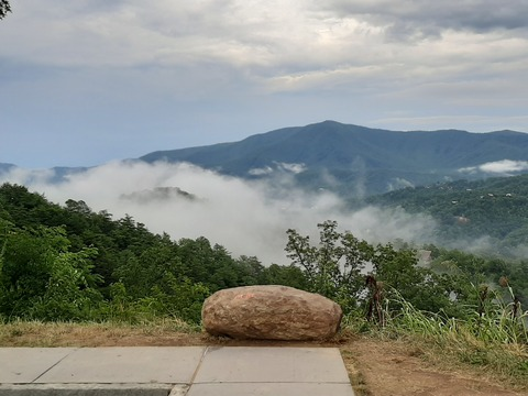 Gregory Curtis @undrgrndsyn cover picture